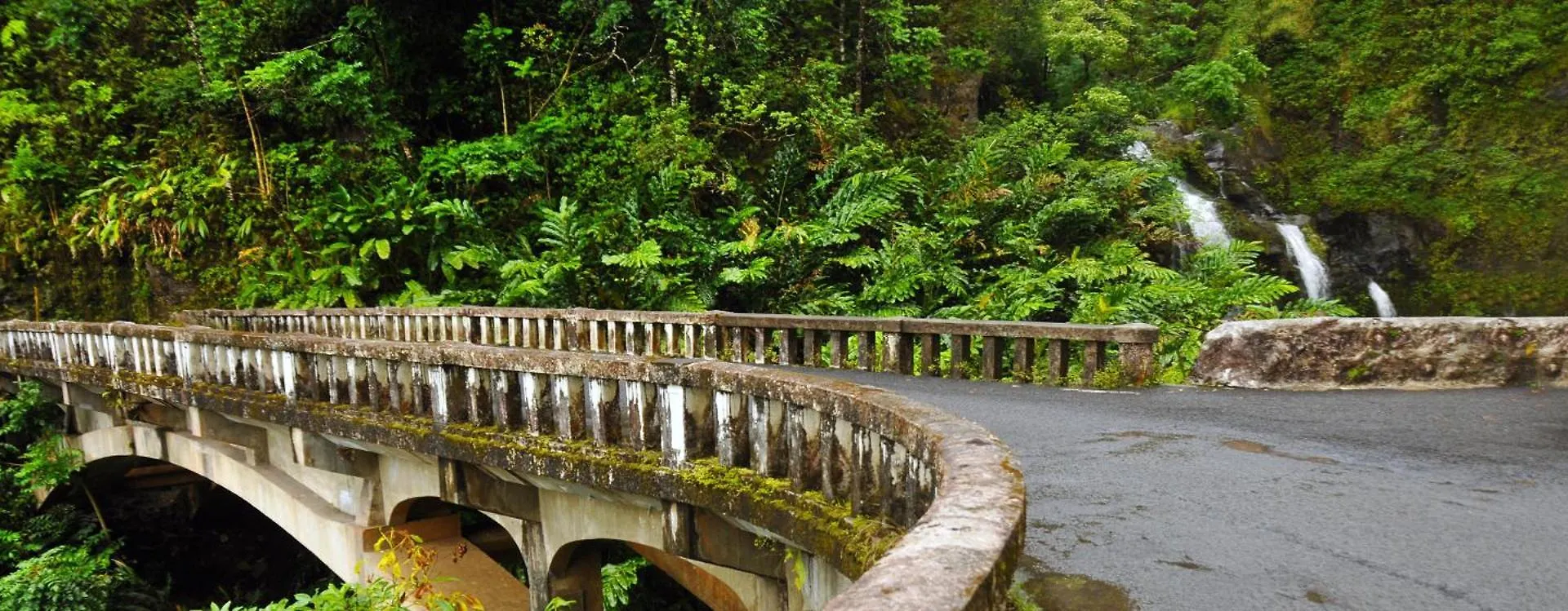 Casa vacanze Villa Kaleialoha 309 Kahana Stati Uniti