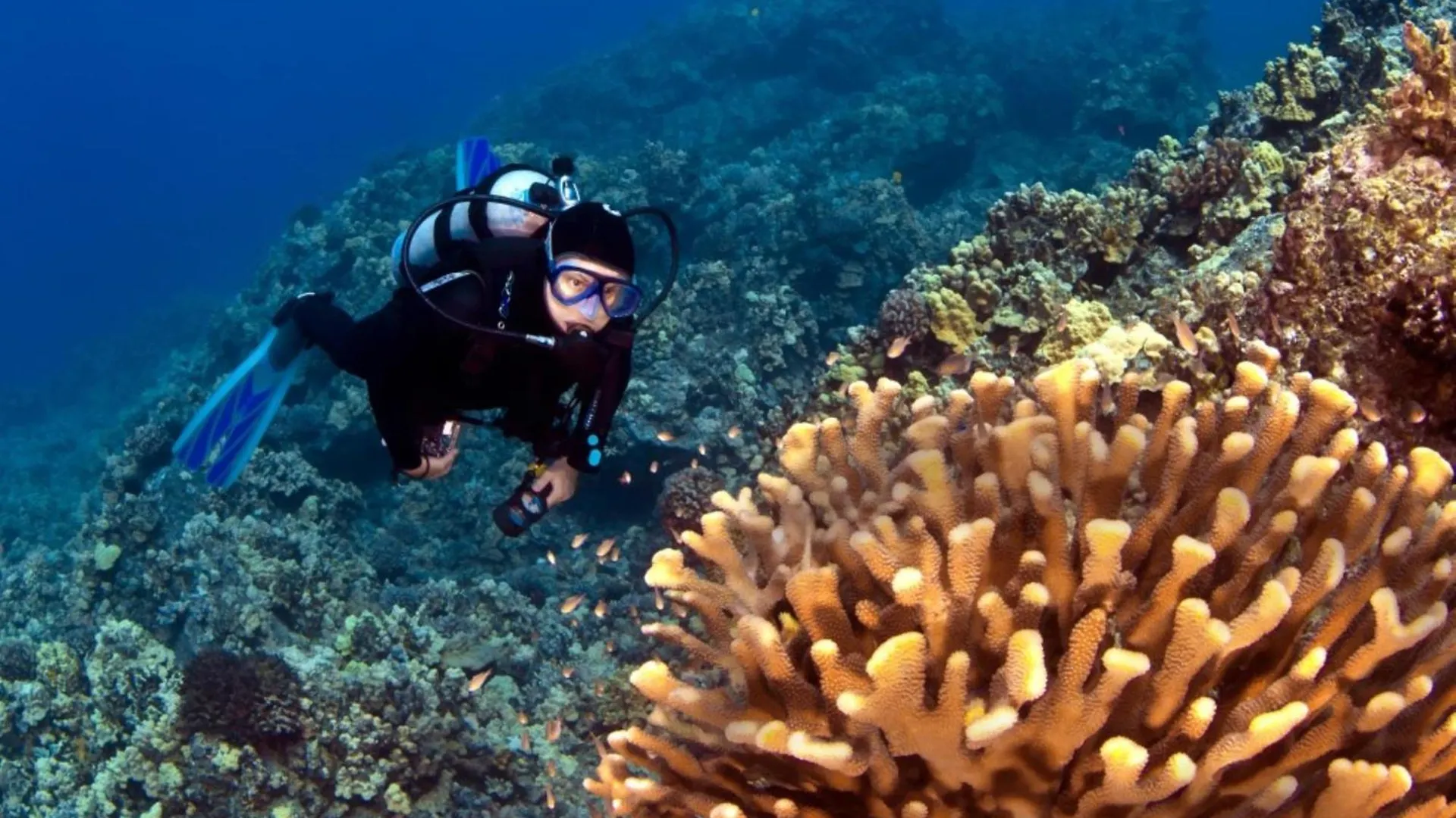 Villa Kaleialoha 309 Kahana 0*,  Stati Uniti